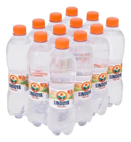 12 Agua Mineral Com Gas Lindoya Verão Garrafa 510ml