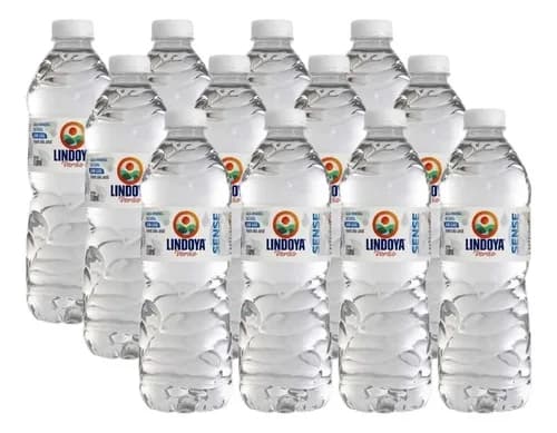 Kit 12 Água Mineral Natural Sem Gás Lindoya Verão 510ml